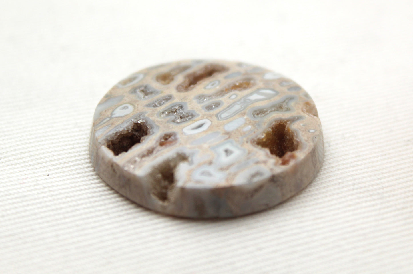 One Fossil Palmwood Cabochon Gemstone with druzy pockets round