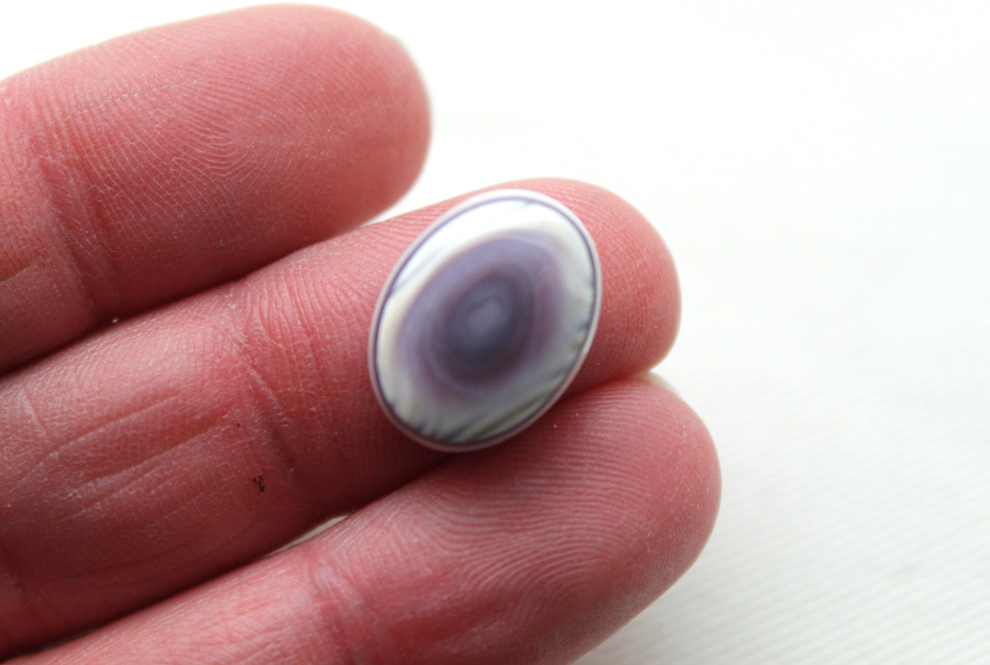 TWO Wampum Quahog Shell Oval 12X16MM purple