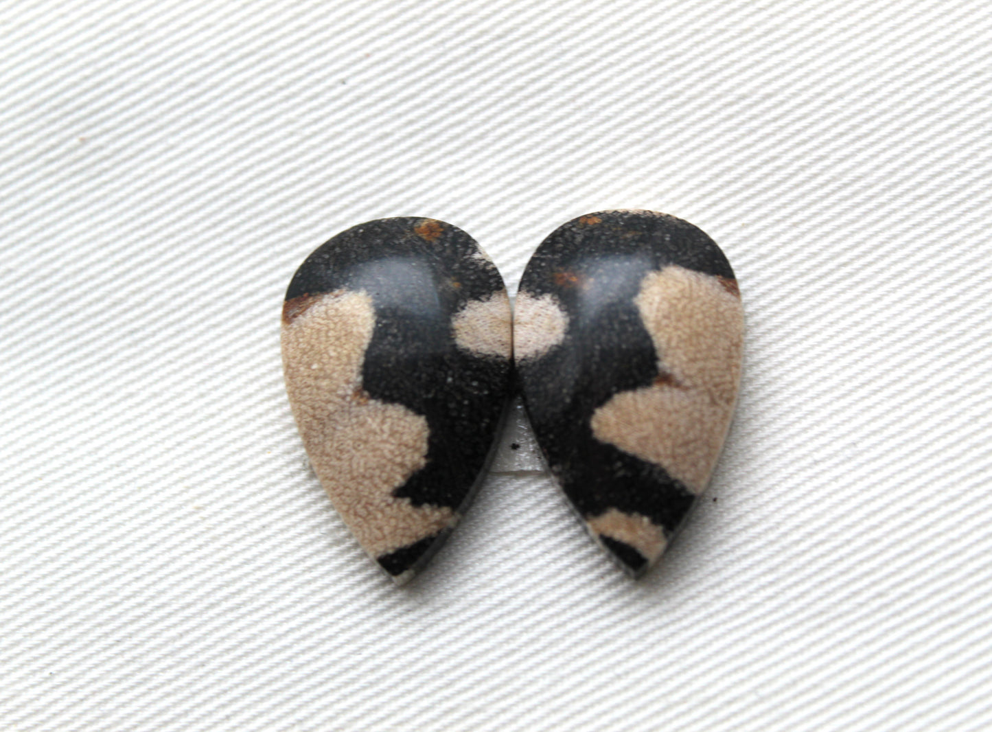 Pair of Petrified Wood Cabochons teardrops