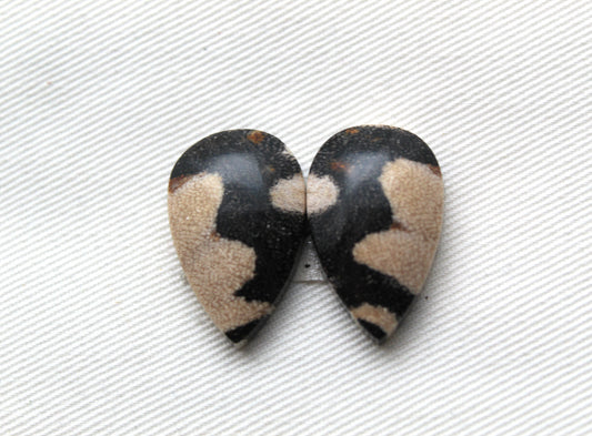 Pair of Petrified Wood Cabochons teardrops