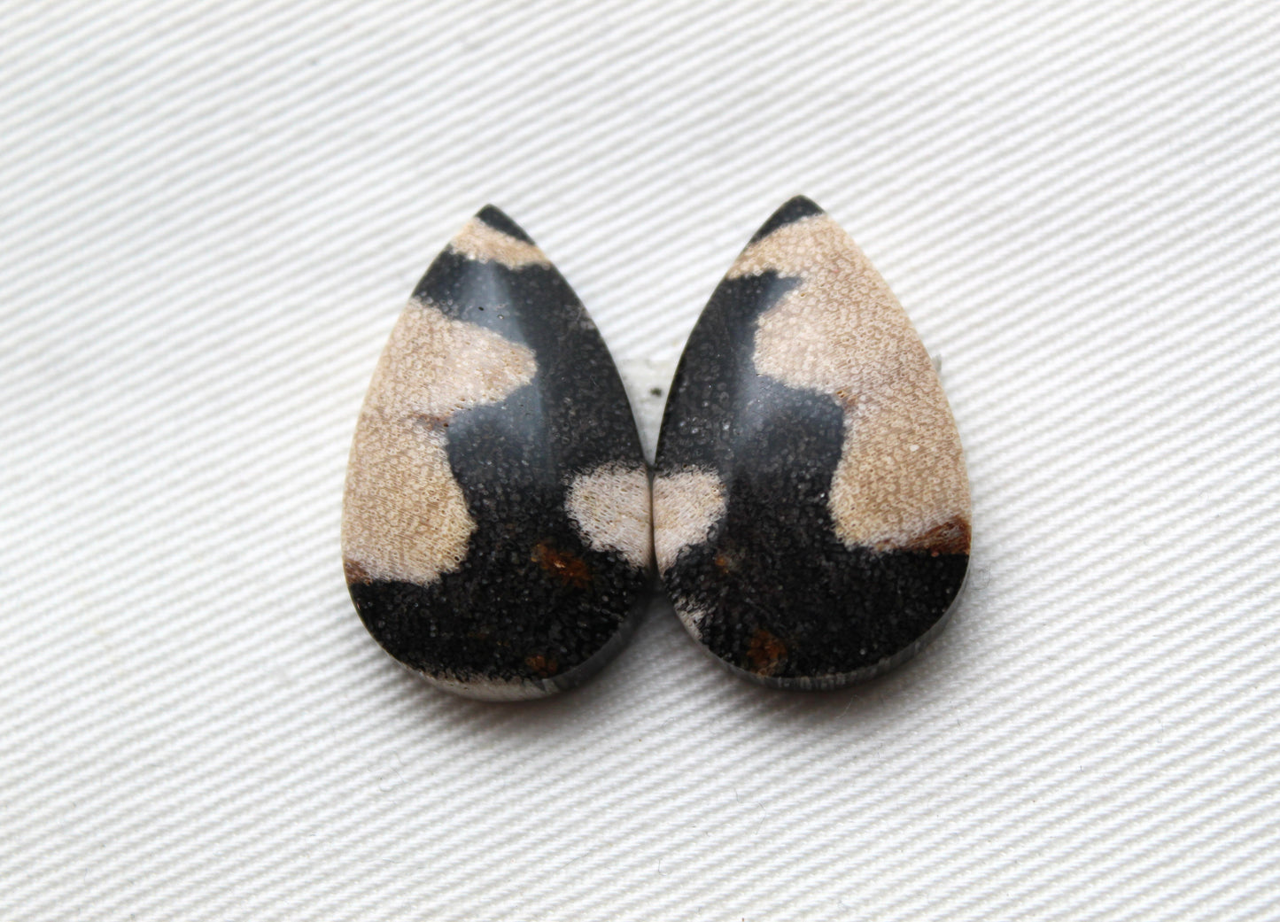 Pair of Petrified Wood Cabochons teardrops