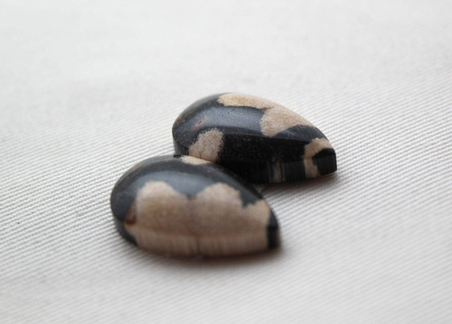 Pair of Petrified Wood Cabochons teardrops
