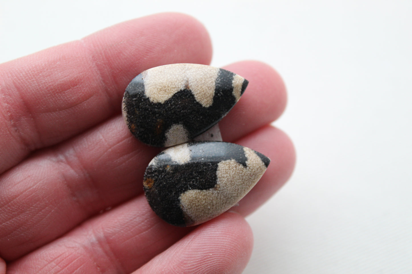 Pair of Petrified Wood Cabochons teardrops