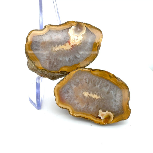 Indonesian banded Agate and Quartz nodule polished