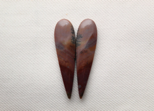 Long Pair of Petrified Wood Cisero Cabochons