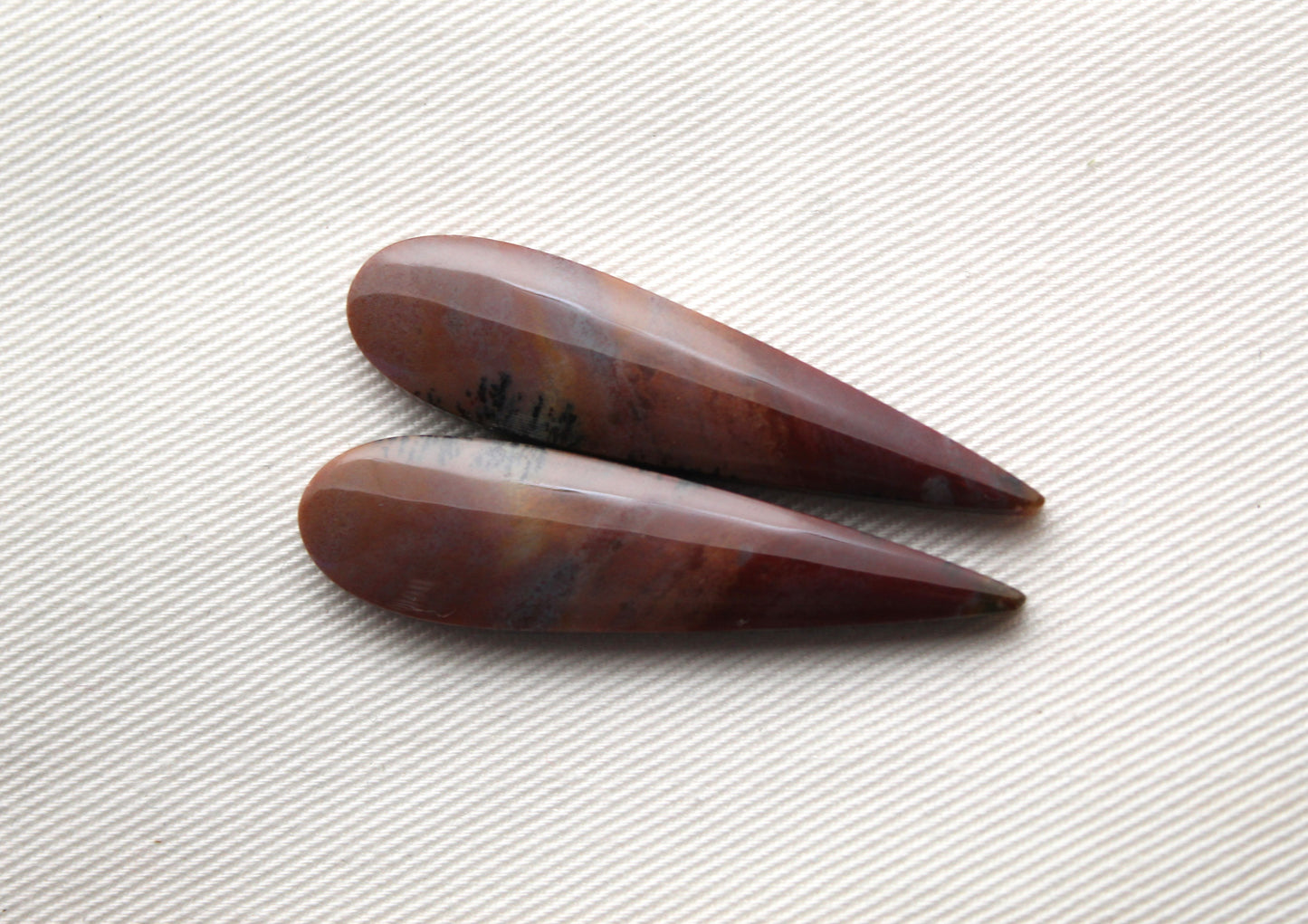 Long Pair of Petrified Wood Cisero Cabochons