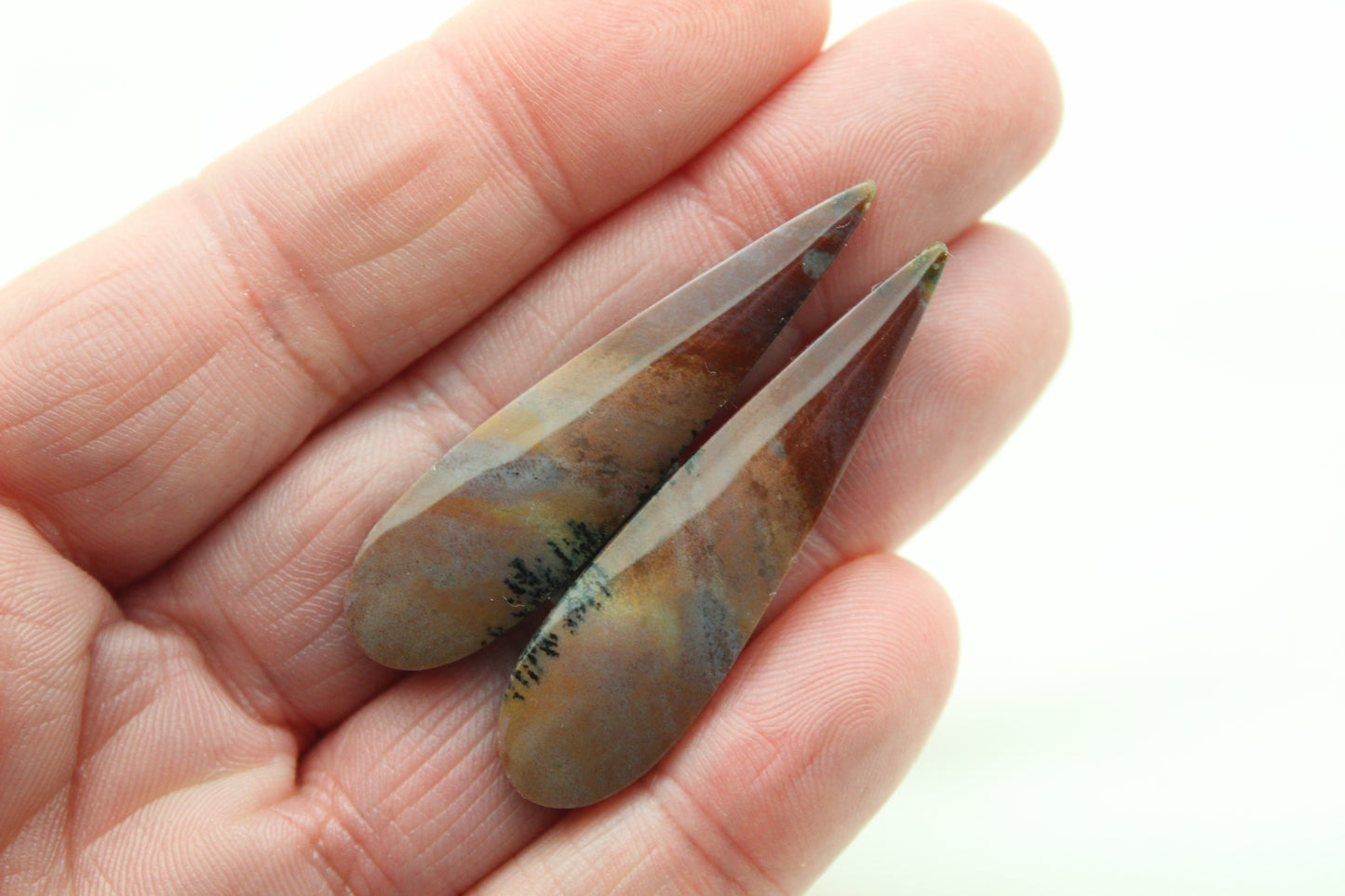 Long Pair of Petrified Wood Cisero Cabochons