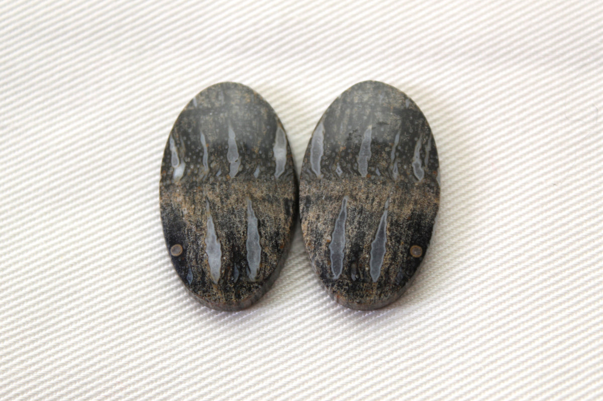 Palm Root Bone Cabochon Pair natural gemstones Oval