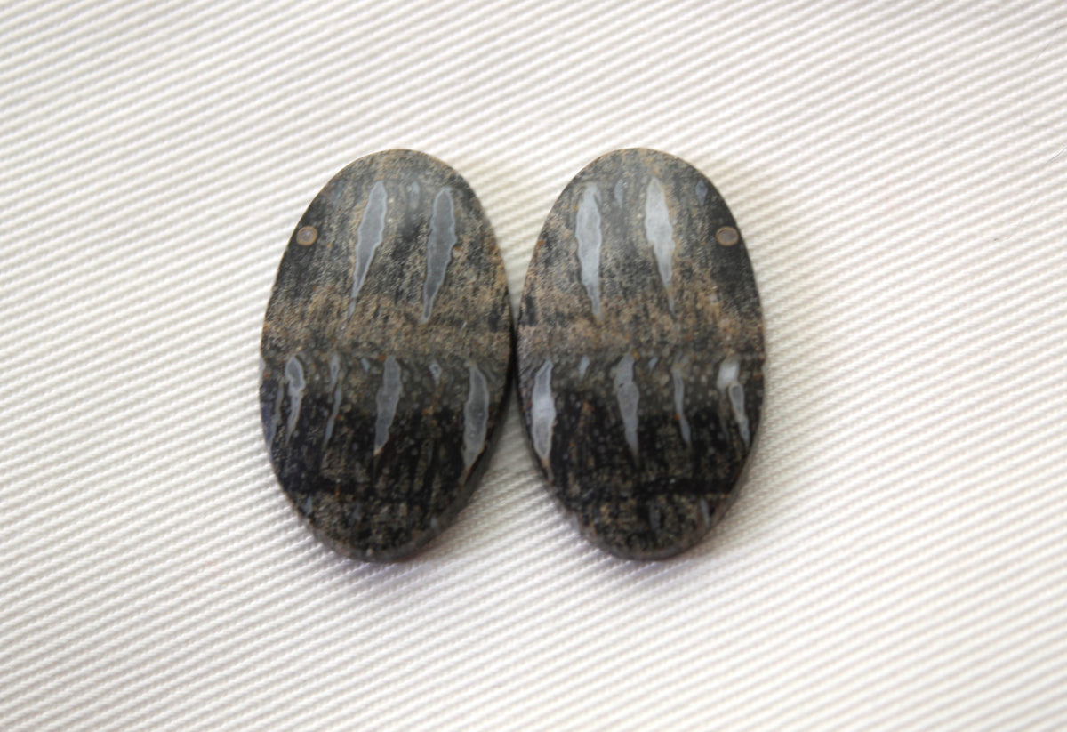Palm Root Bone Cabochon Pair natural gemstones Oval