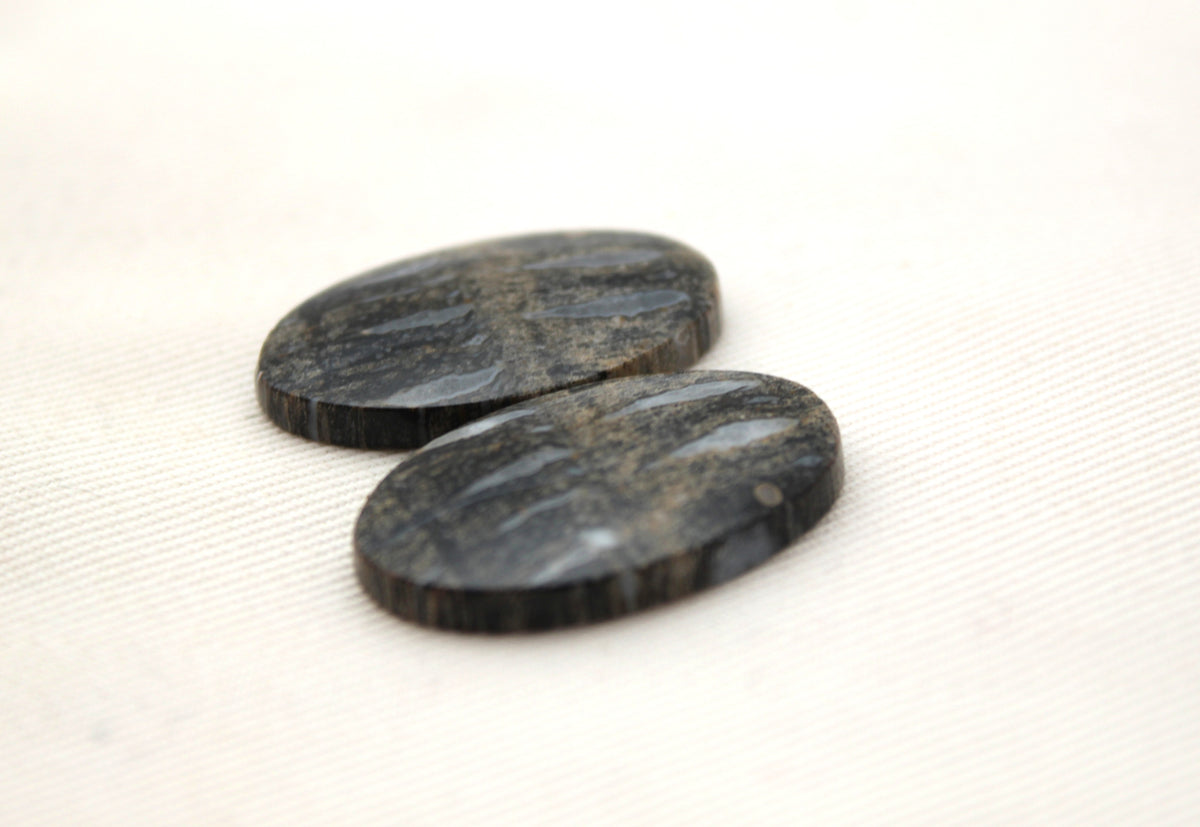Palm Root Bone Cabochon Pair natural gemstones Oval