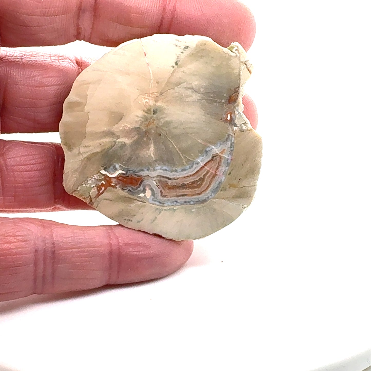 Natural Agate Chunk Mont Lyall Canada