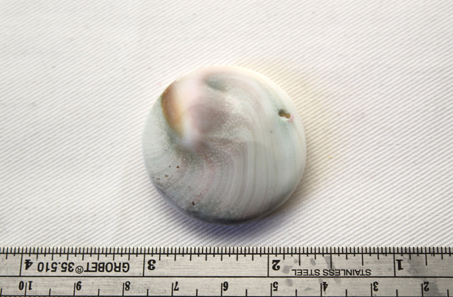 Large Shiva Eye Snail fossil gemstone 34MM DRILLED