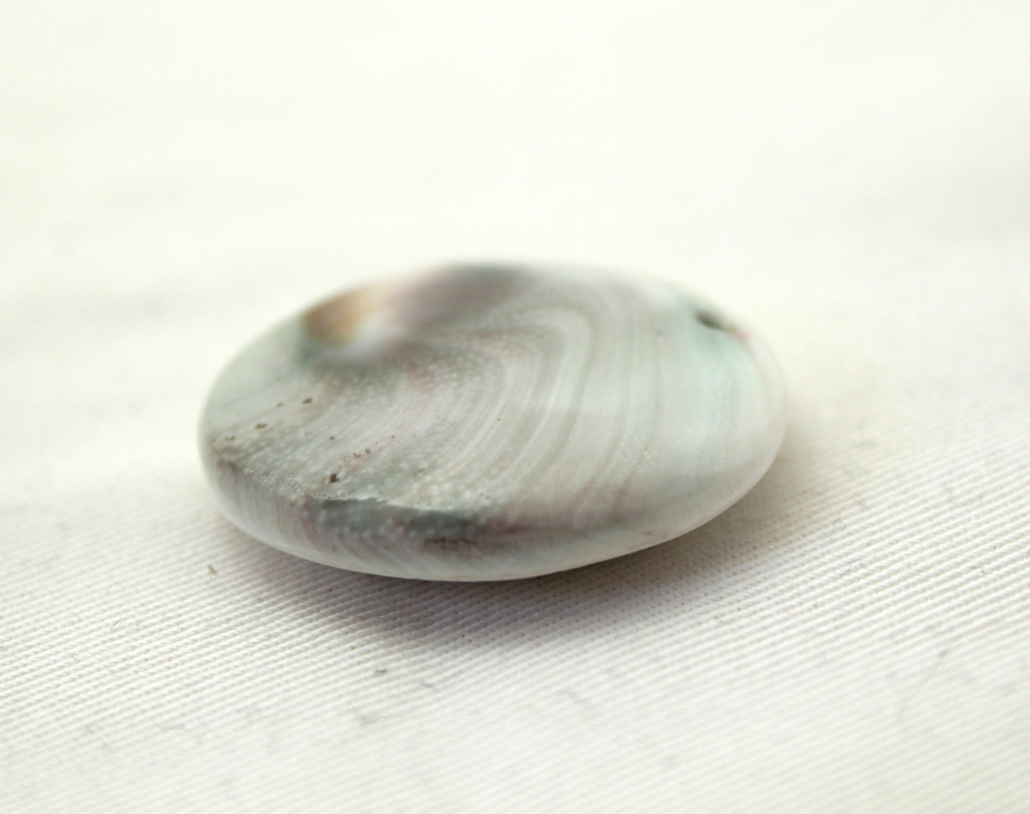 Large Shiva Eye Snail fossil gemstone 34MM DRILLED