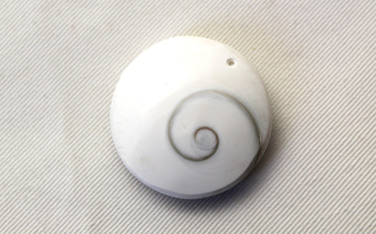 Large Shiva Eye Snail fossil gemstone 34MM DRILLED