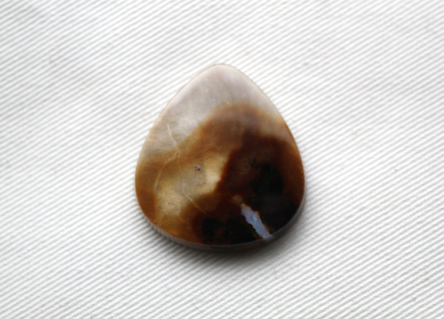 Petrified Wood Gemstone Cabochon