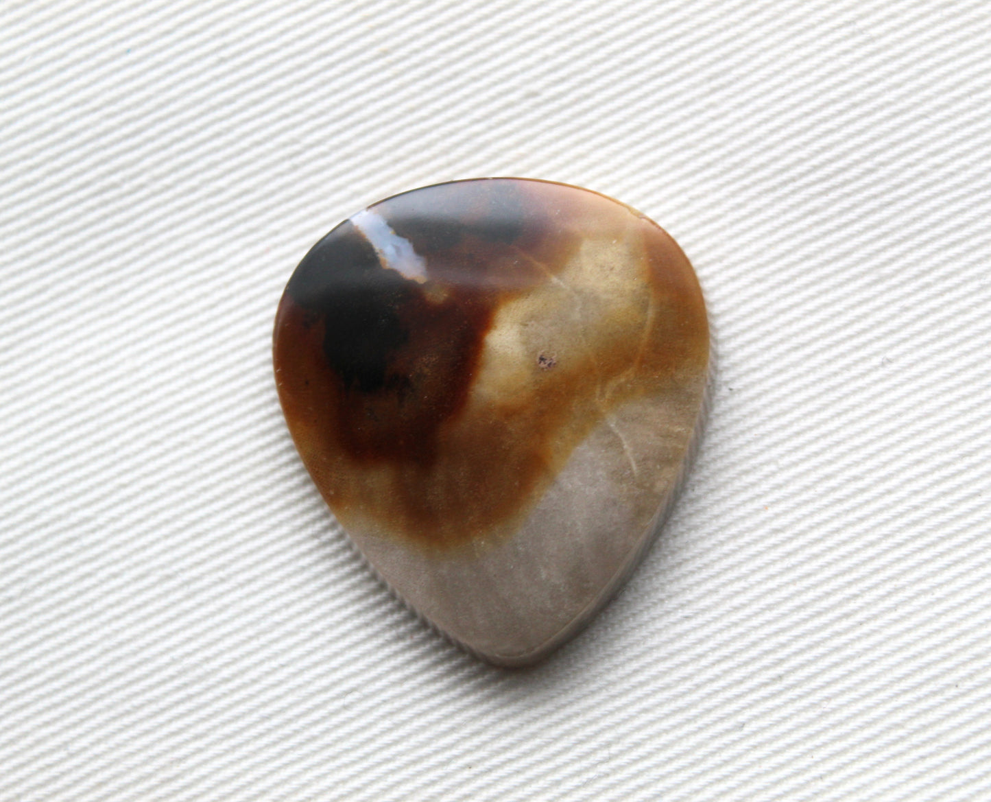 Petrified Wood Gemstone Cabochon