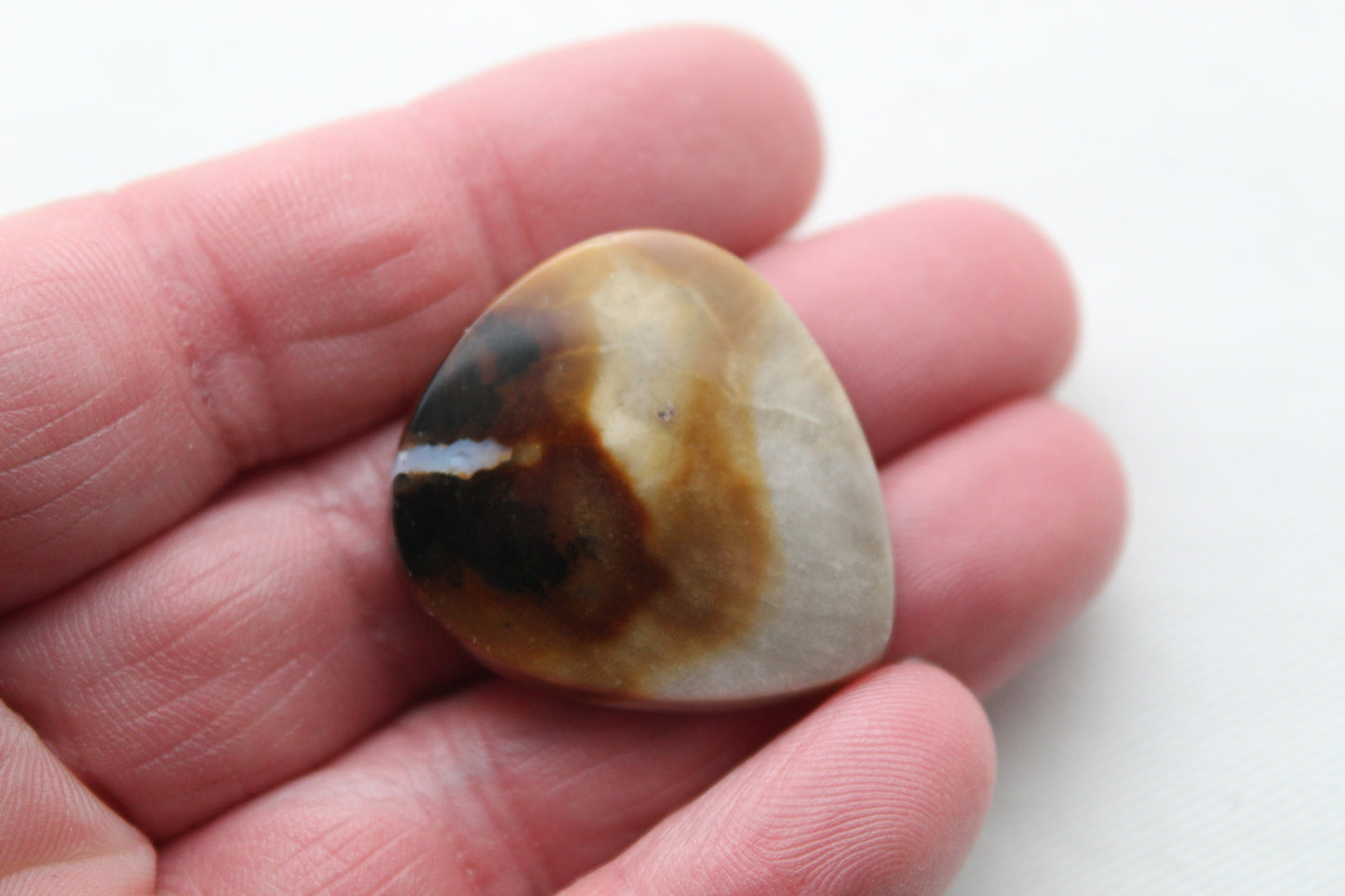 Petrified Wood Gemstone Cabochon