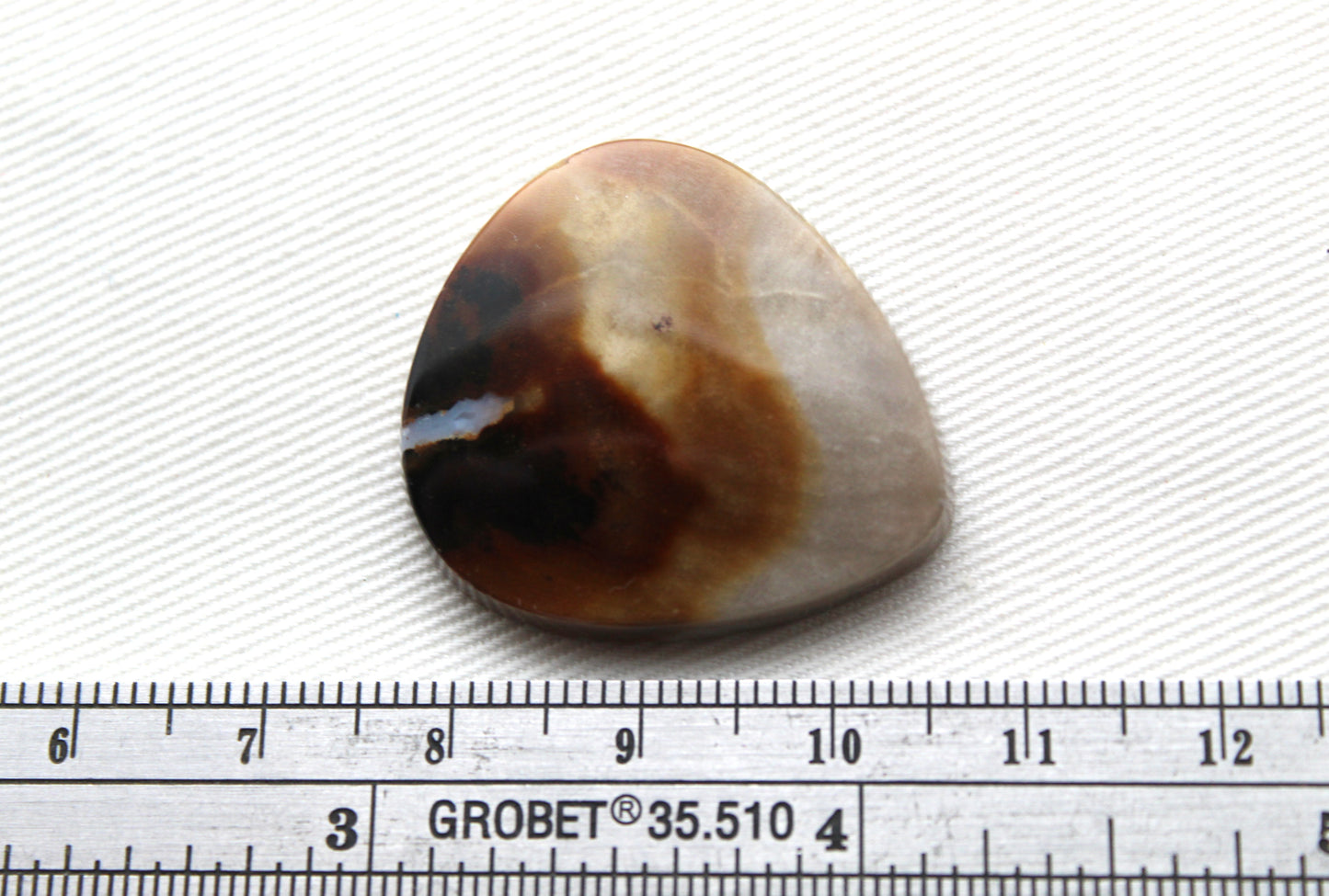 Petrified Wood Gemstone Cabochon
