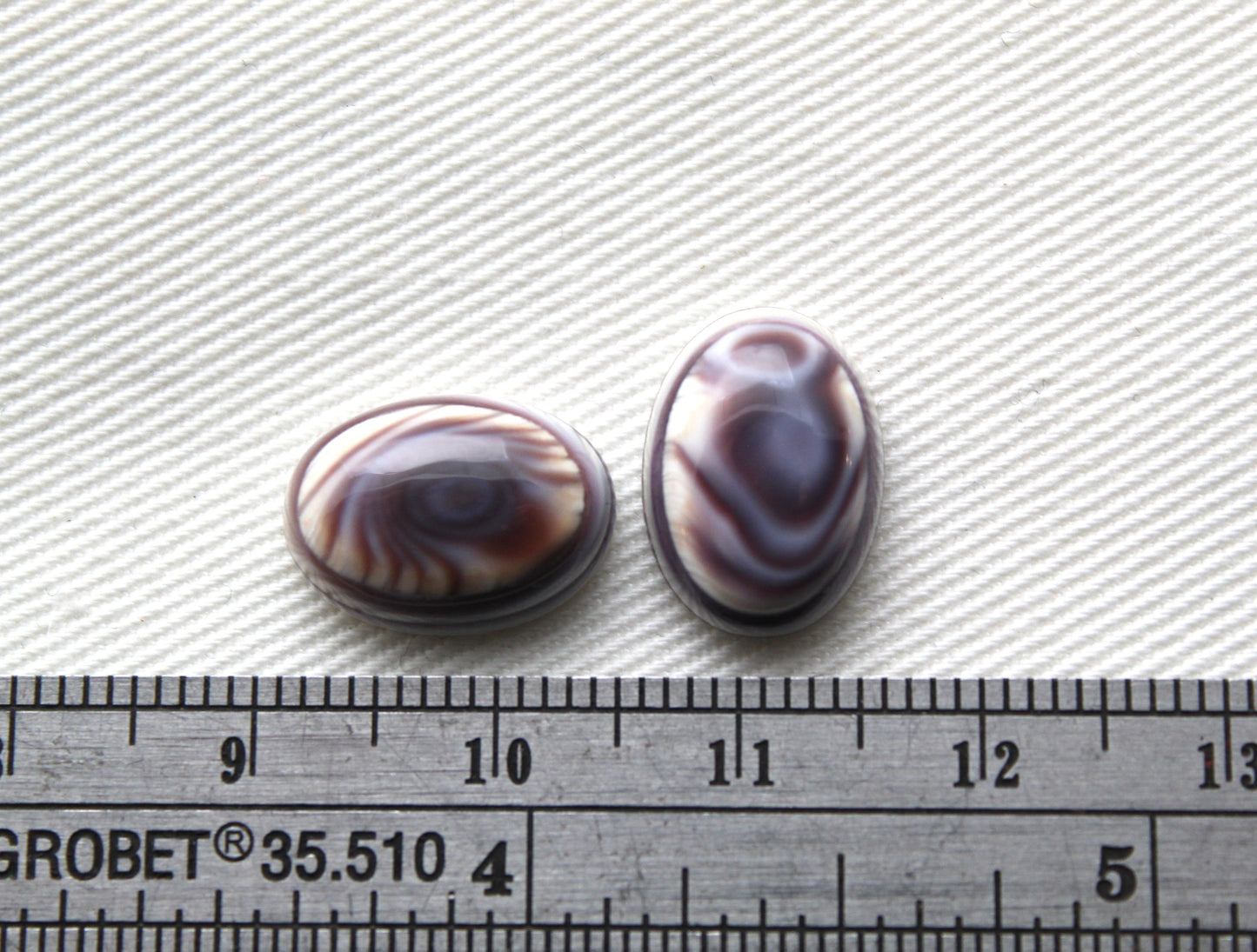 TWO Wampum Quahog Shell Oval 10x14MM
