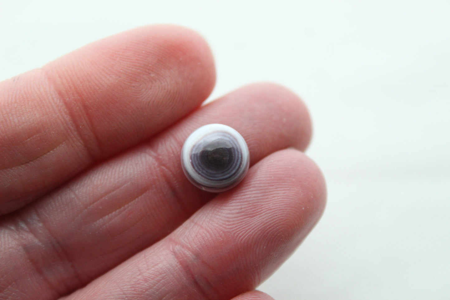 TWO Wampum Quahog Shell round 10MM purple