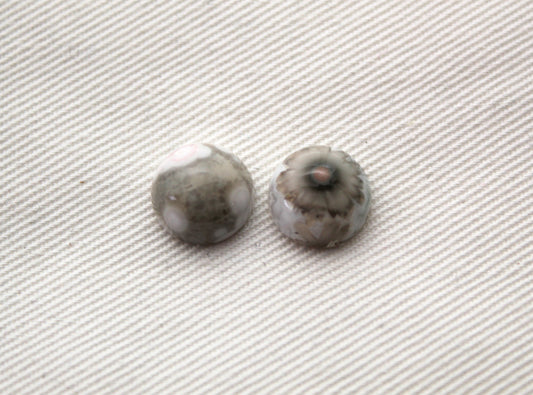 Quatre cabochons lisses de jaspe océan Pierres précieuses rondes 14MM