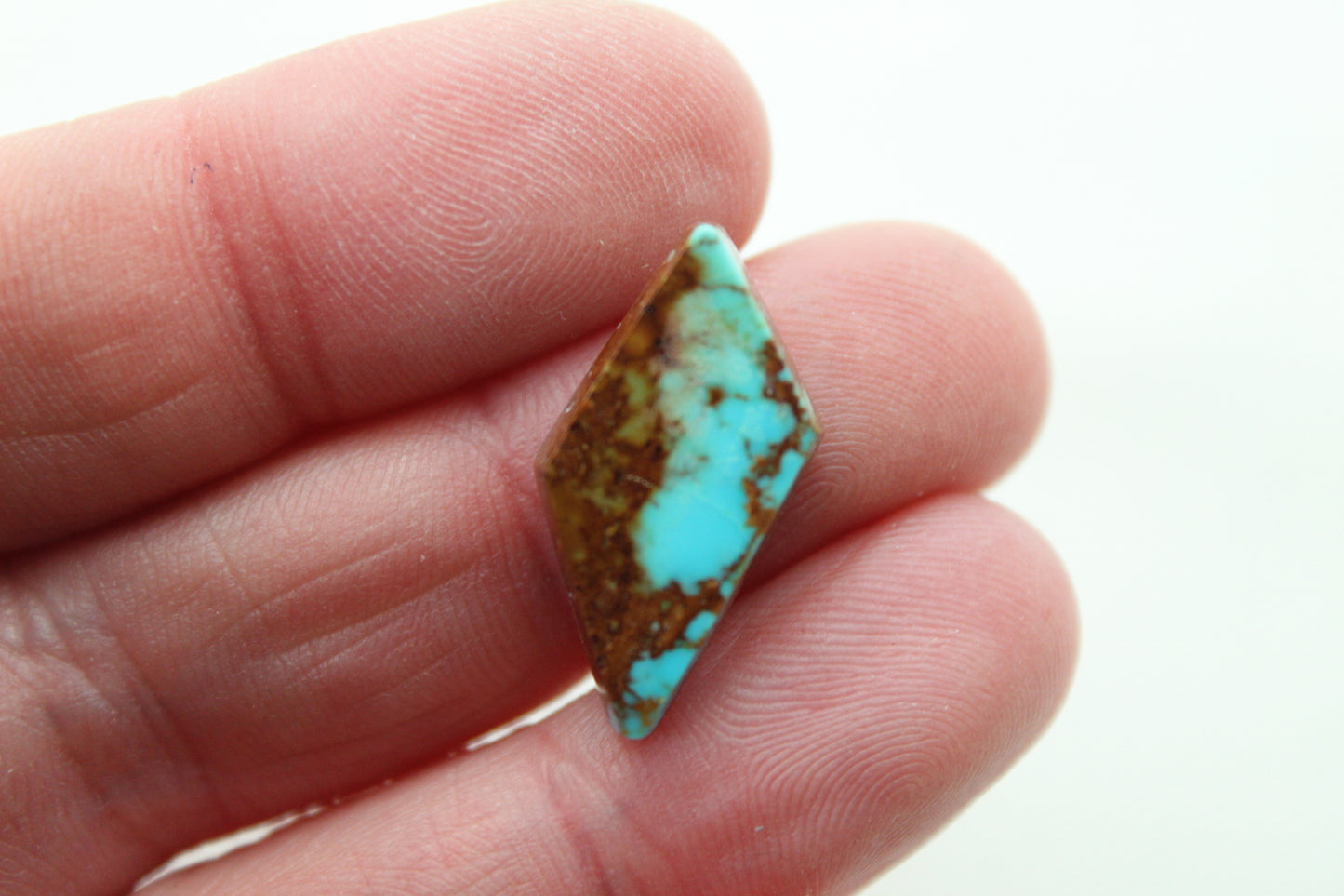 Kingman Turquoise lot Deux cabochons Pierres précieuses