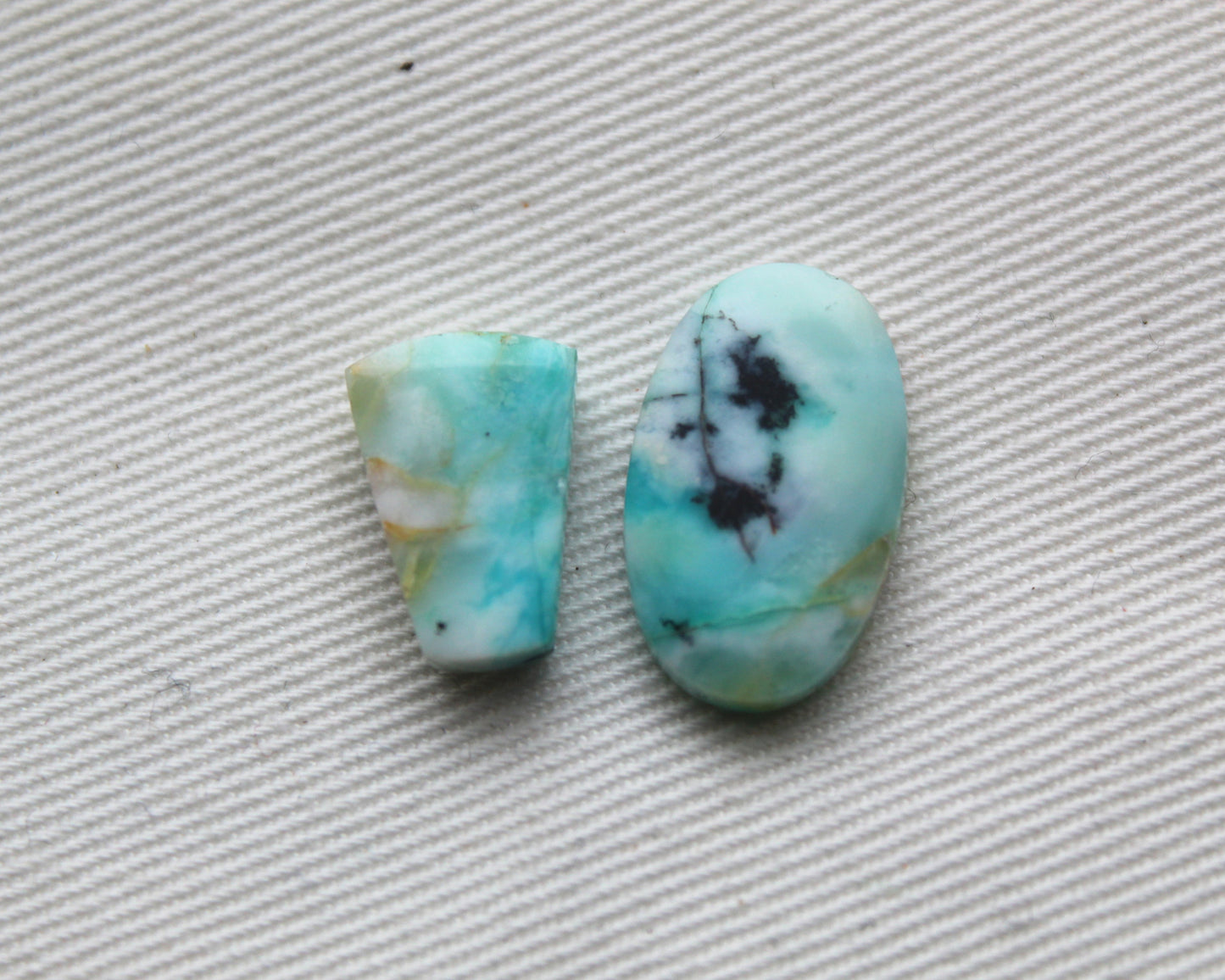 TWO SMALL Blue opalized Wood Cabochon