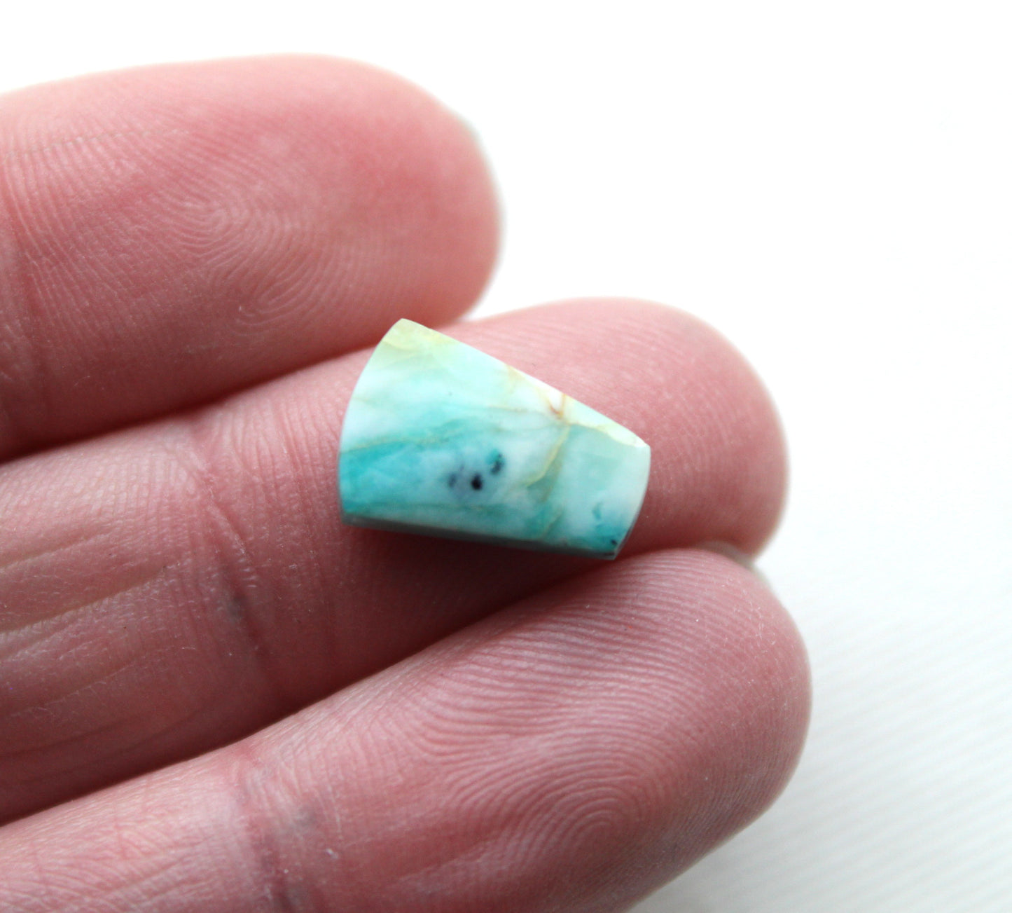 TWO SMALL Blue opalized Wood Cabochon