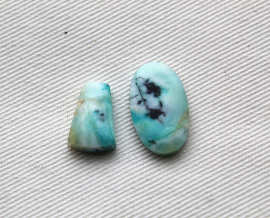 TWO SMALL Blue opalized Wood Cabochon