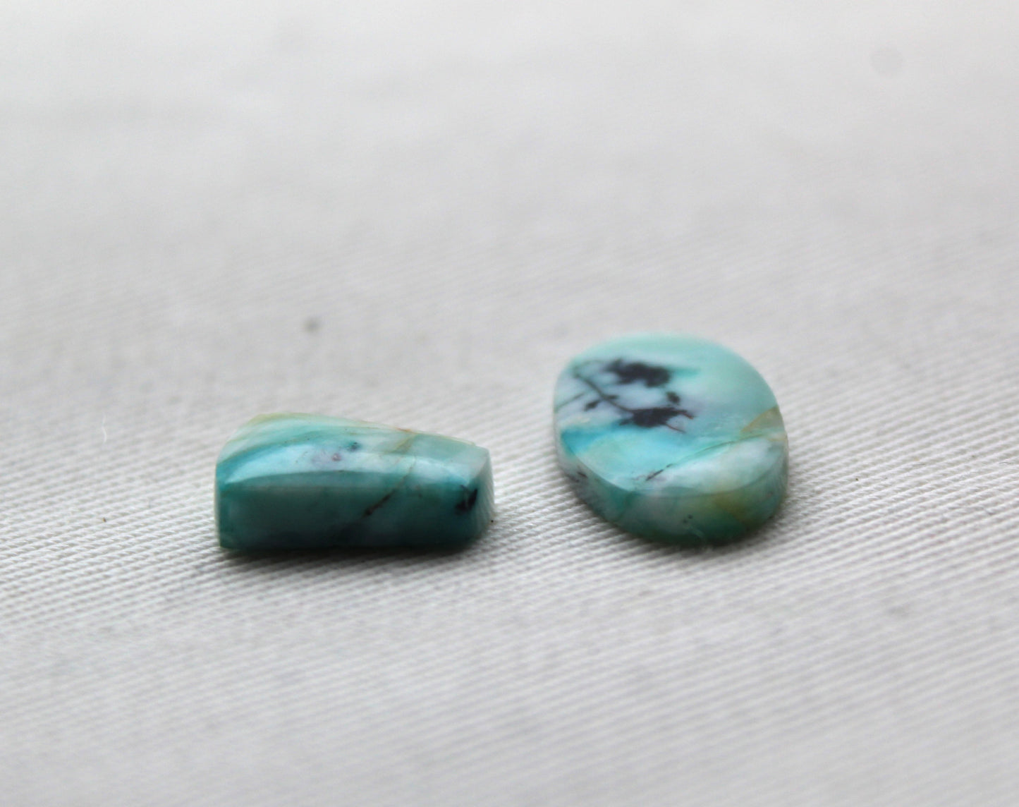 TWO SMALL Blue opalized Wood Cabochon
