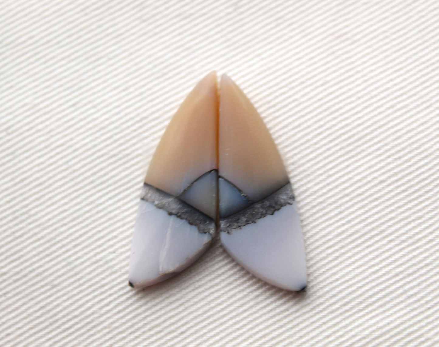 Paire Cabochons d'Agate Plume Noire d'Indonésie pierre gemme naturelle