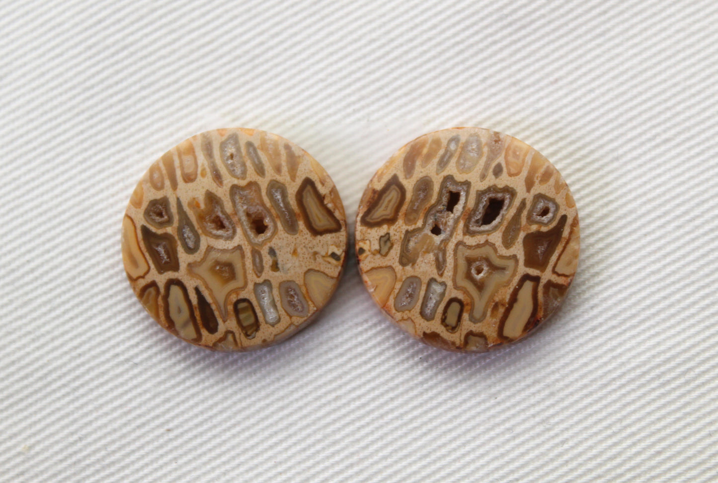 Fossil Palmwood Pair Cabochon Gemstone with druzy pockets