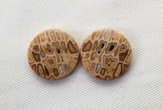 Fossil Palmwood Pair Cabochon Gemstone with druzy pockets