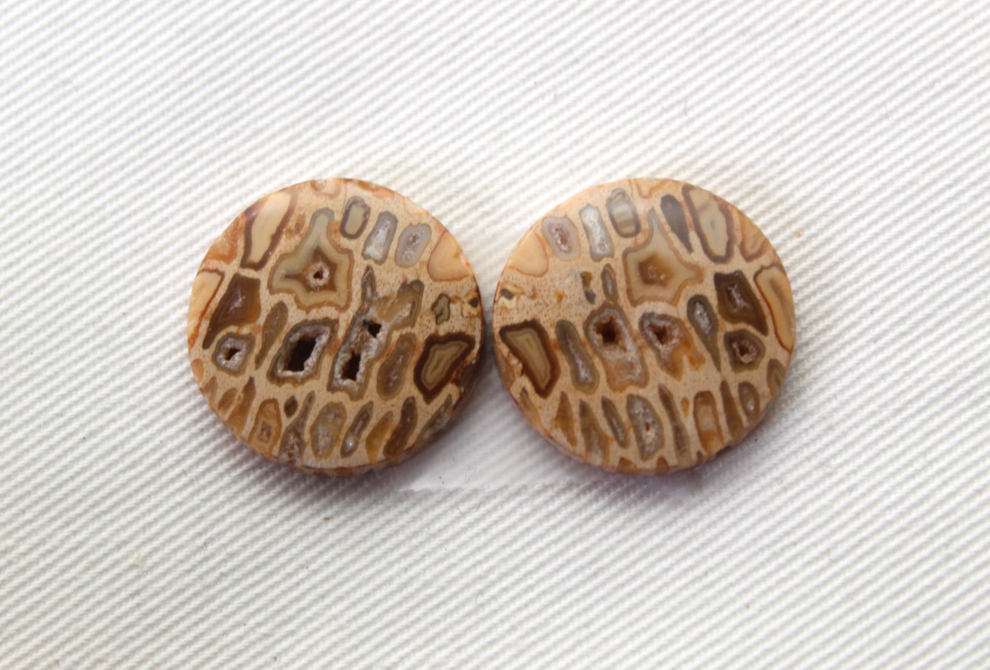 Fossil Palmwood Pair Cabochon Gemstone with druzy pockets