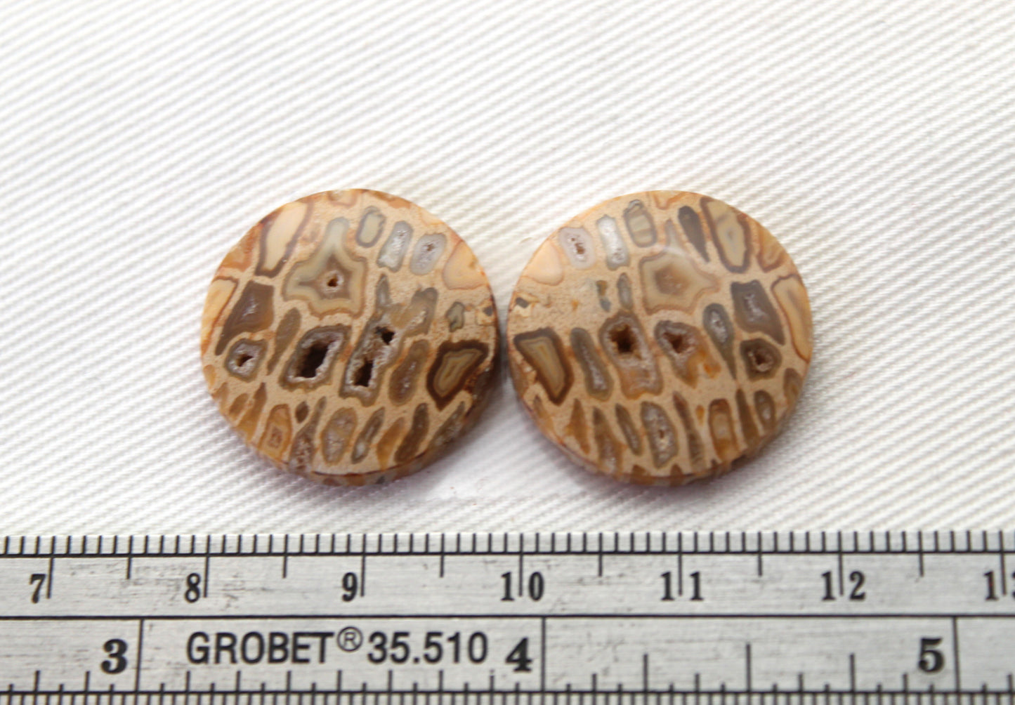Fossil Palmwood Pair Cabochon Gemstone with druzy pockets