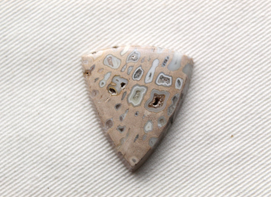 One Fossil Palmwood Cabochon Gemstone with druzy pockets triangle