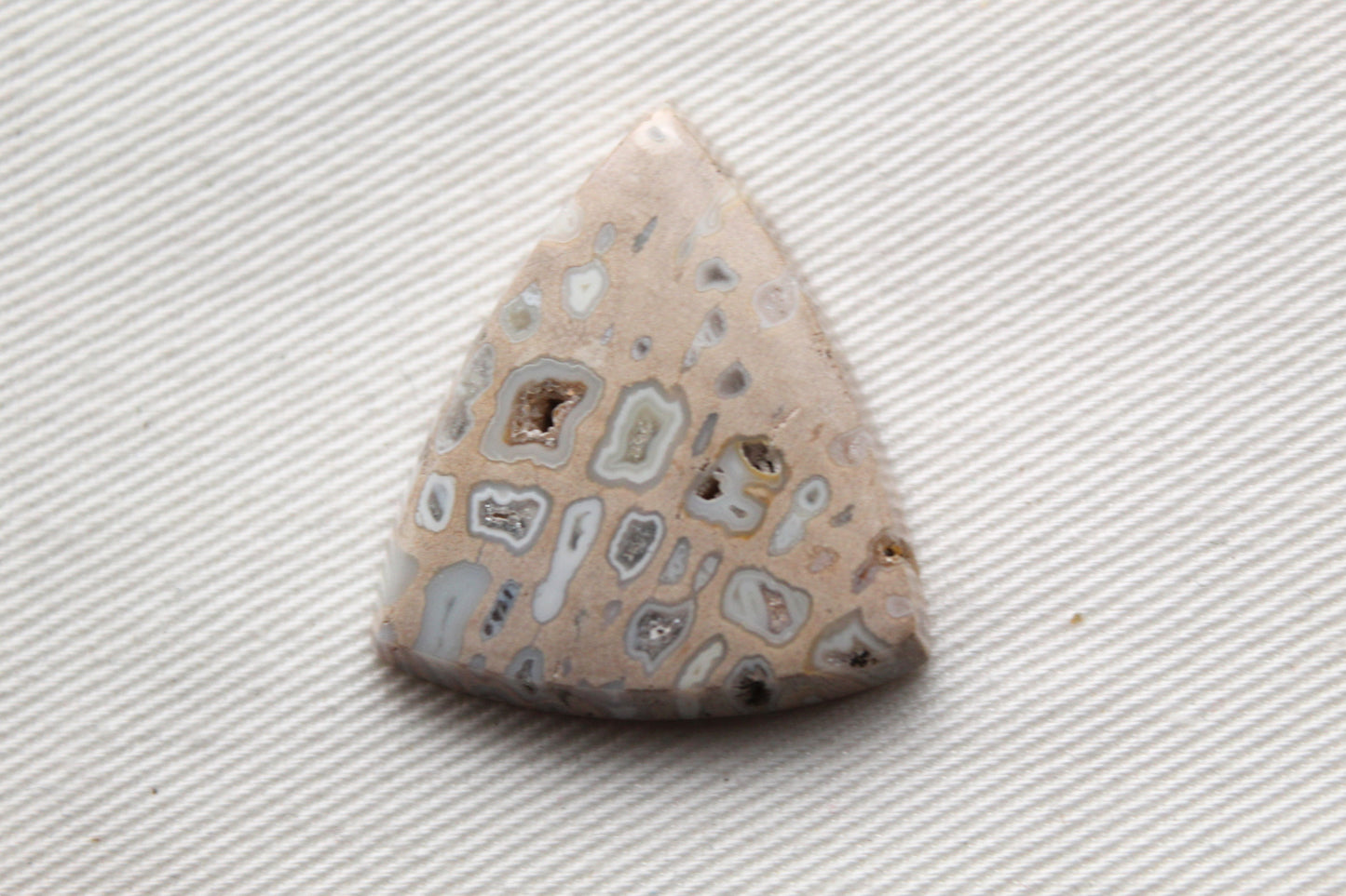 One Fossil Palmwood Cabochon Gemstone with druzy pockets triangle