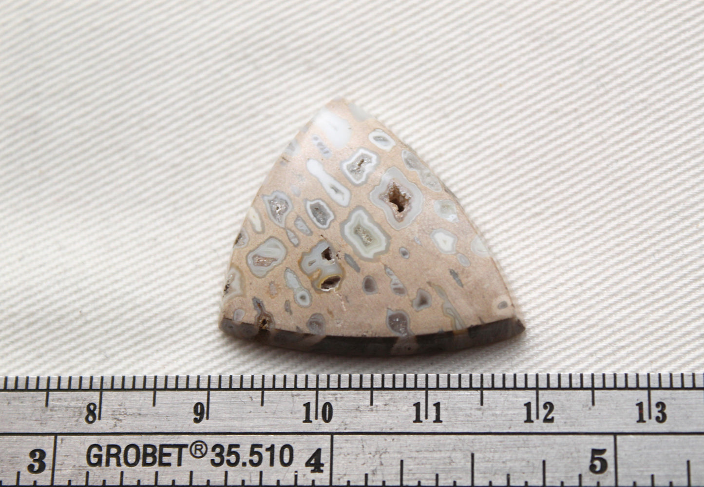 One Fossil Palmwood Cabochon Gemstone with druzy pockets triangle