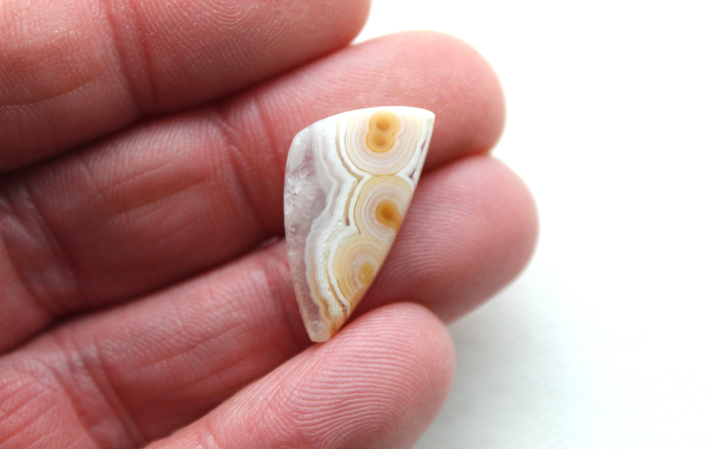 Small Orbicular Agate Cabochons Pair Gemstone natural