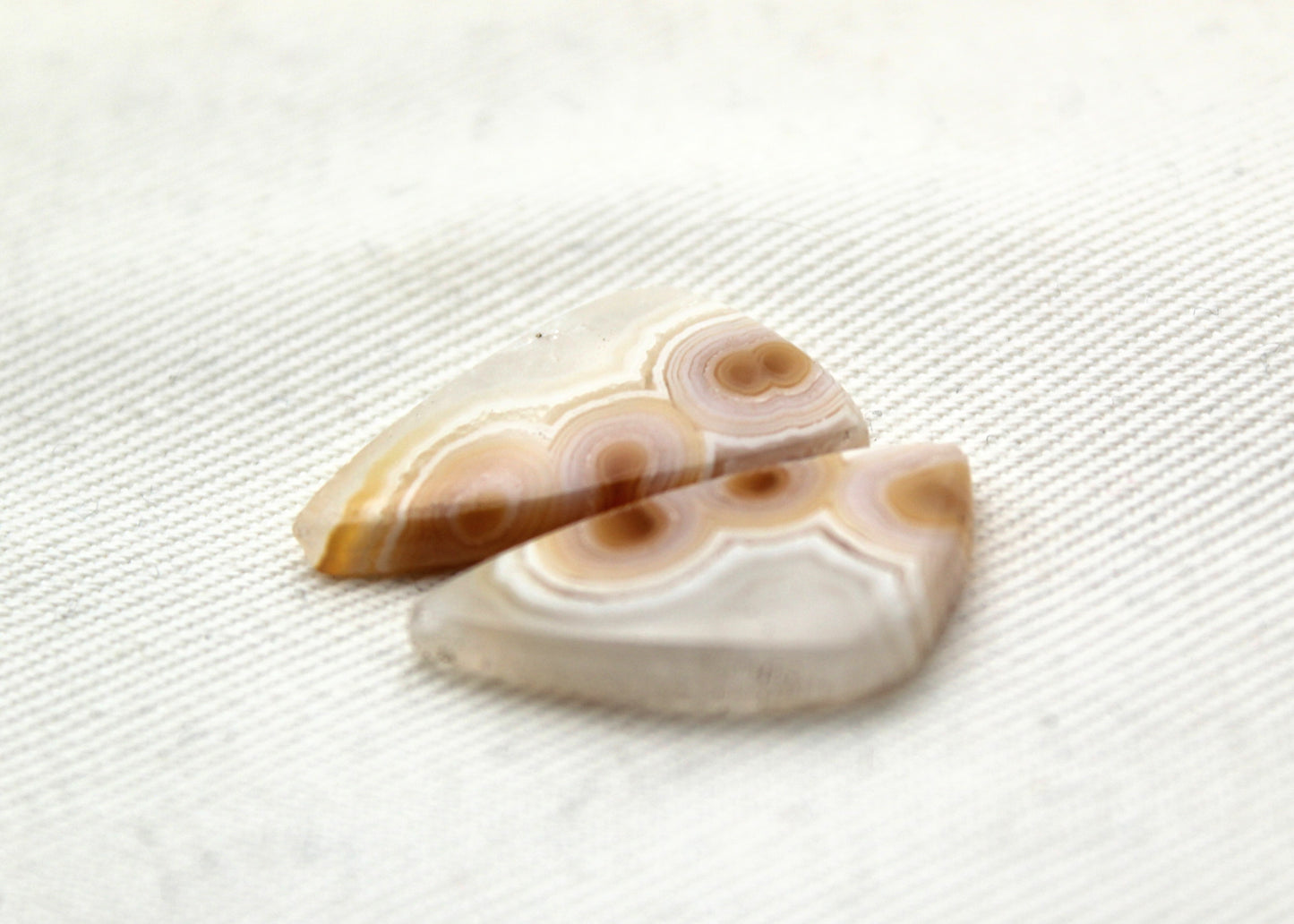 Small Orbicular Agate Cabochons Pair Gemstone natural