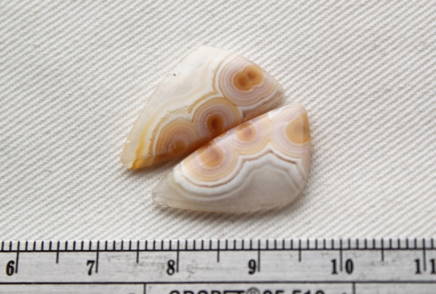 Small Orbicular Agate Cabochons Pair Gemstone natural