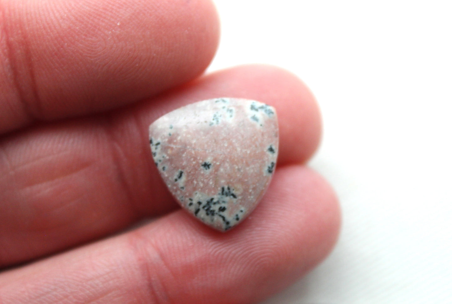 Small Dendritic Jasper Cabochon Pair Gemstone trillion 16MM