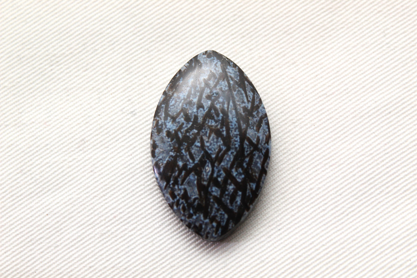 Agatized Palm Root Cabochon Gemstone Marquise Blue
