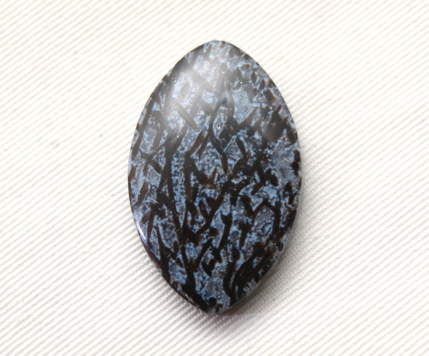 Agatized Palm Root Cabochon Gemstone Marquise Blue