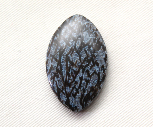 Agatized Palm Root Cabochon Gemstone Marquise Blue
