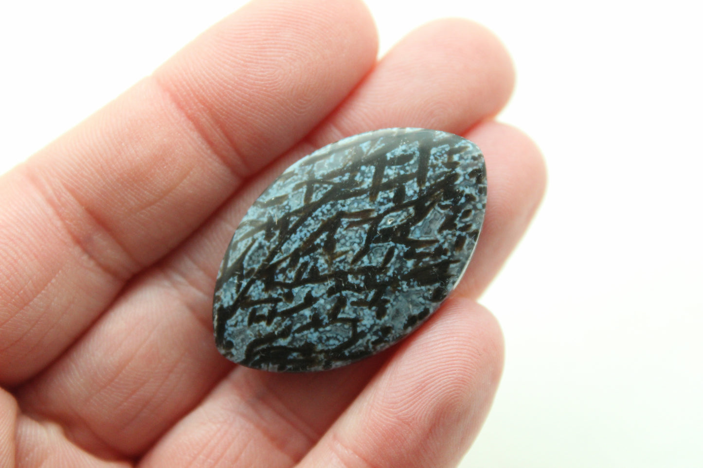 Agatized Palm Root Cabochon Gemstone Marquise Blue