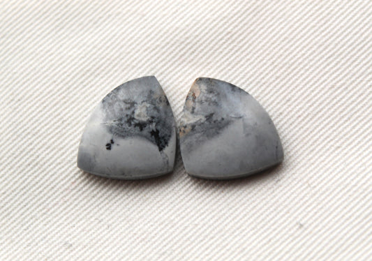 Small Maligano Jasper cabochons pair Gemstone