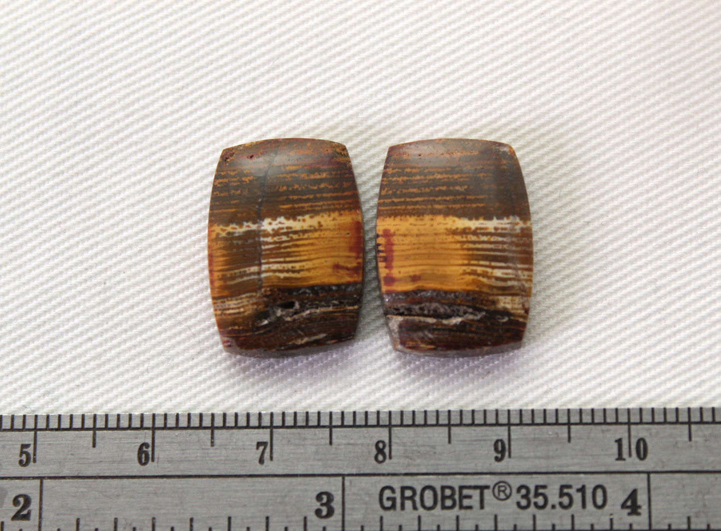Small Petrified Wood Cabochon Pair natural gemstones