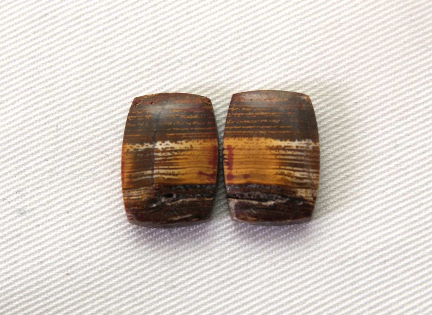 Small Petrified Wood Cabochon Pair natural gemstones