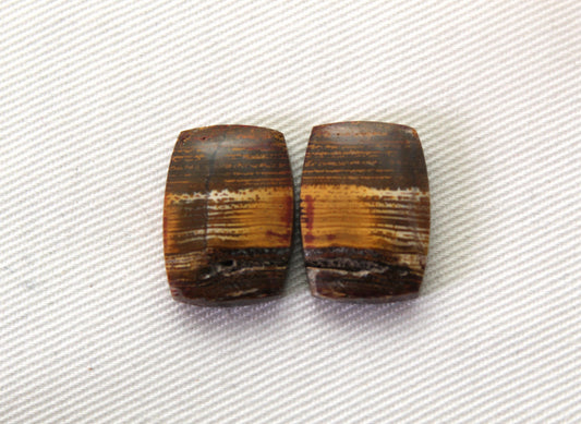 Small Petrified Wood Cabochon Pair natural gemstones